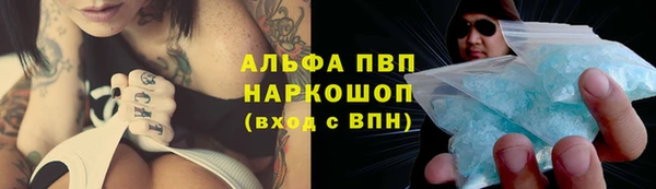 СК Алексин