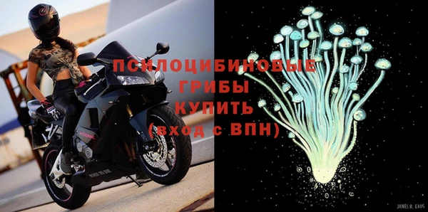 бошки Алзамай
