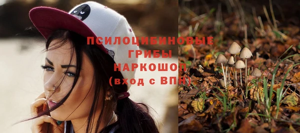 шишки Алексеевка