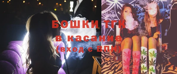 СК Алексин