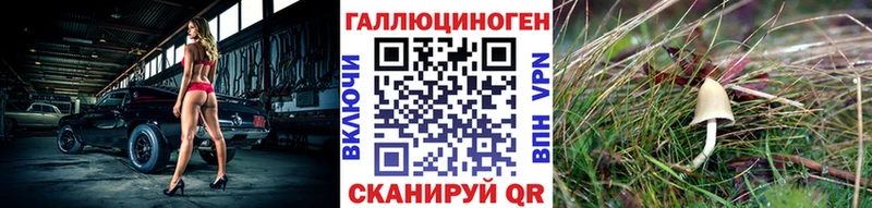 продажа наркотиков  Тольятти  Псилоцибиновые грибы Cubensis 